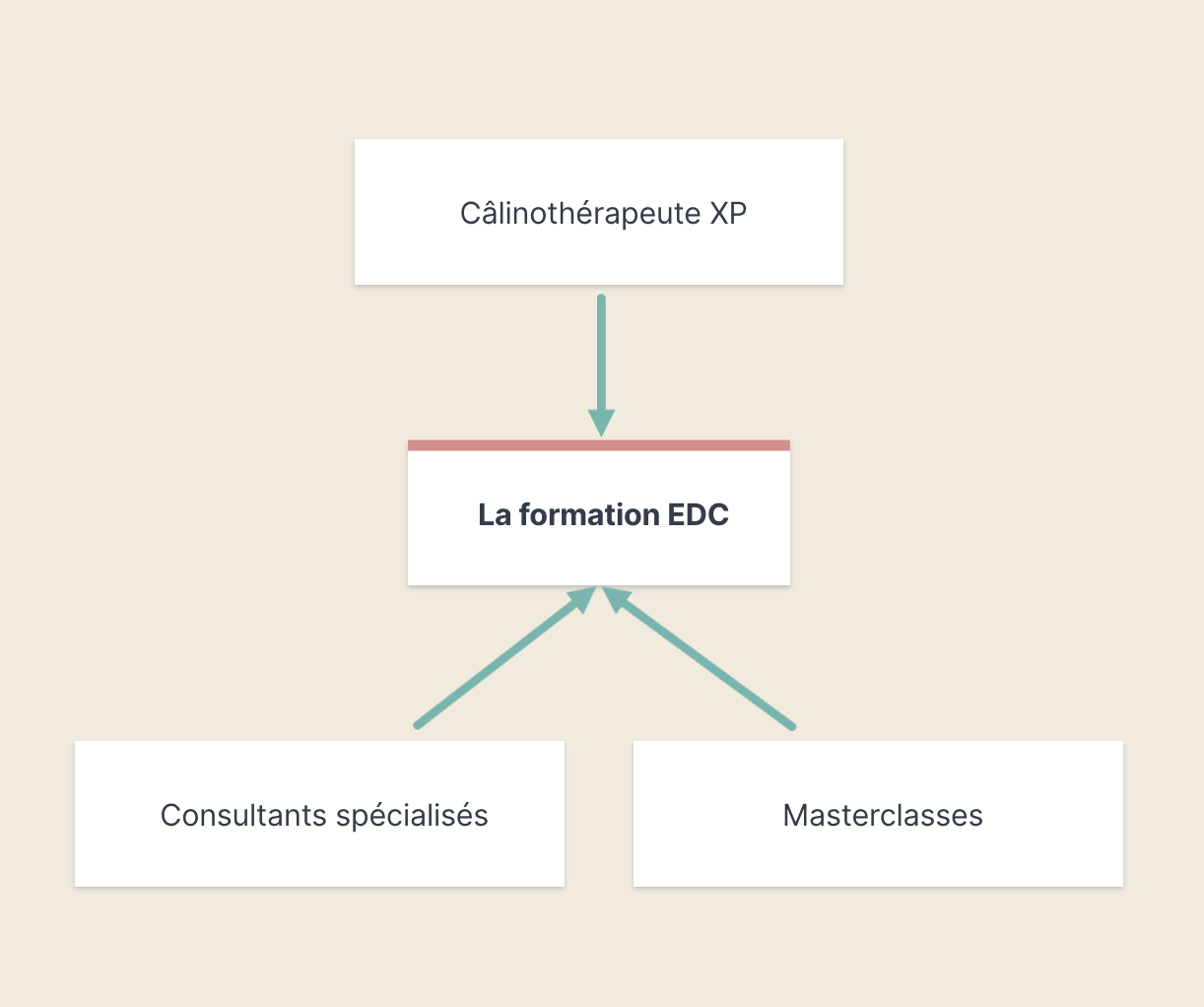 Image représentant l'équipe de l'École de Câlinothérapie. Il y a l'équipe de masterclasses, l'équipe de consultants, et l'équipe de câlinothérapeutes expérimentés